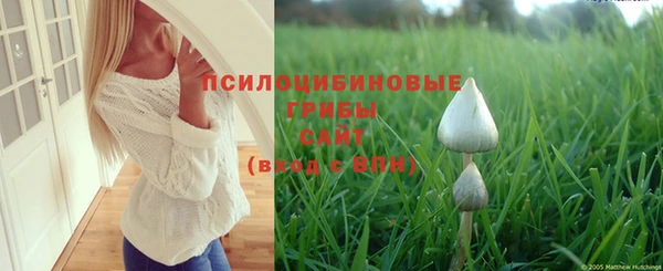 наркотики Алексеевка