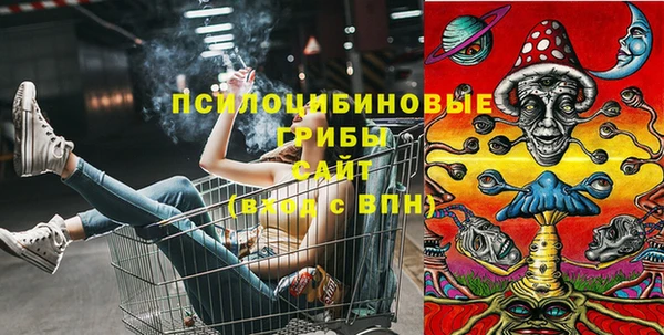 стафф Баксан